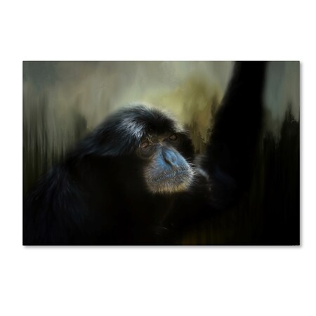 Jai Johnson 'Resting Siamang Ape' Canvas Art,22x32